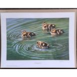 PAUL JAMES - DUCKLING QUARTET (unmounted) LIMITED EDITION 698/850. 295 x 535 mm