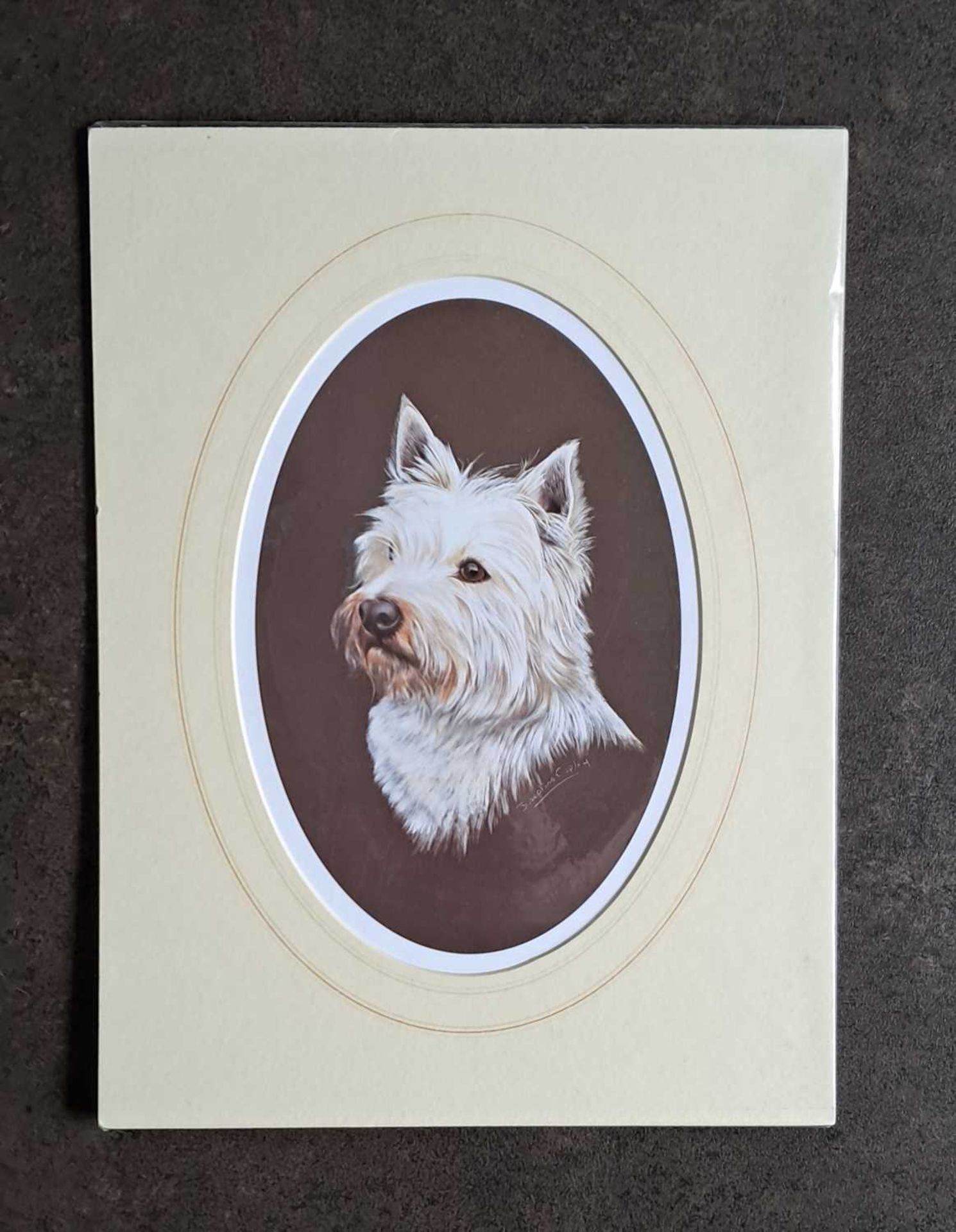 SALLY MITCHELL - WESTIE. 140 x 305mm.