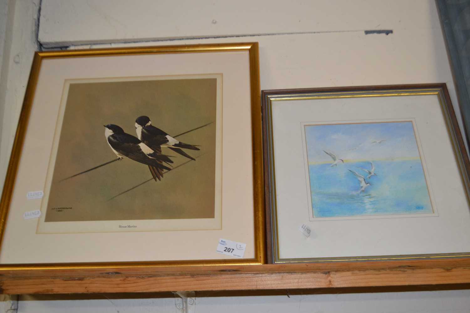 A framed print of housemartins by Lansdowne together with a further print of seagulls