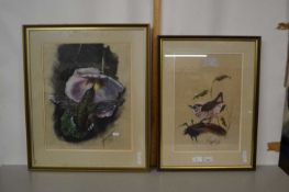 Howes, two studies, Hummingbird and a Wren (2)