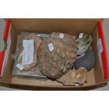 Box containing a quantity of mainly pottery items, some possibly Roman together with sea shells