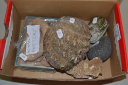 Box containing a quantity of mainly pottery items, some possibly Roman together with sea shells