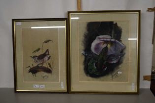 Howes, two studies, Hummingbird and a Wren (2)