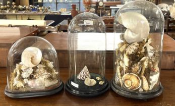 A Grouped Lot: Two antique displays of various sea shells set under glass domes together with a