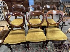 A set of six Victorian balloon back dining chairs with upholstered seats and turned front legs (Item