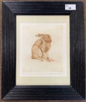 Anna Ravenscroft (British, contemporary), Hare at rest, etching, artist proof, signed,17x20cm,