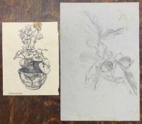 John Aldridge RA (1905-1983), Leaf and fruit study, plus "Cyclamen" pencil and ink on paper,