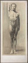 Giorgio Matteo Aicardi (Italian,1891-1984), Study of a nude male, charcoal and graphite on laid