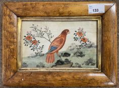 Chinese School, circa early 19th century, Parakeet perched on a branch, hand painted silk,