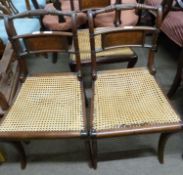 A set of three Georgian mahogany framed and cane seated sabre leg dining chairs