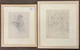 John Aldridge RA (1905-1983), "Convolvulus flowers and buds" and "Hedgerow", pencil on paper, from