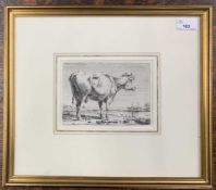 Attributed to Nicholaes Bercham (Dutch,1620-1683) Standing cow, copper plate engraving, 13x17cm,