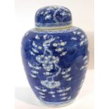 A Chinese porcelain ginger jar and cover, 19th Century, the blue ground with prunus decoration