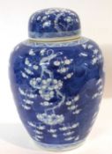 A Chinese porcelain ginger jar and cover, 19th Century, the blue ground with prunus decoration