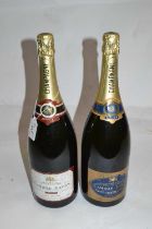Two magnums of champagne by Camille Saves, one Premier Cru, one Grand Cru, 1500ml each, (2)