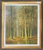 David Mead RA (1906-1986), inscribed on backboard 'Balcombe Woods' oil on board, signed, 49x59cm,