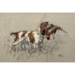 John Paley (British, 20th century), Springer Spaniel with a Ring Necked Pheasant, gouache and pencil