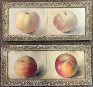 British school, circa 19th century, pair of apple still life studies, initialed J.R., framed and