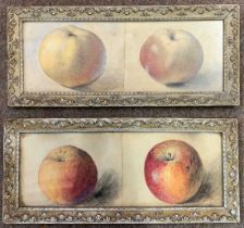 British school, circa 19th century, pair of apple still life studies, initialed J.R., framed and