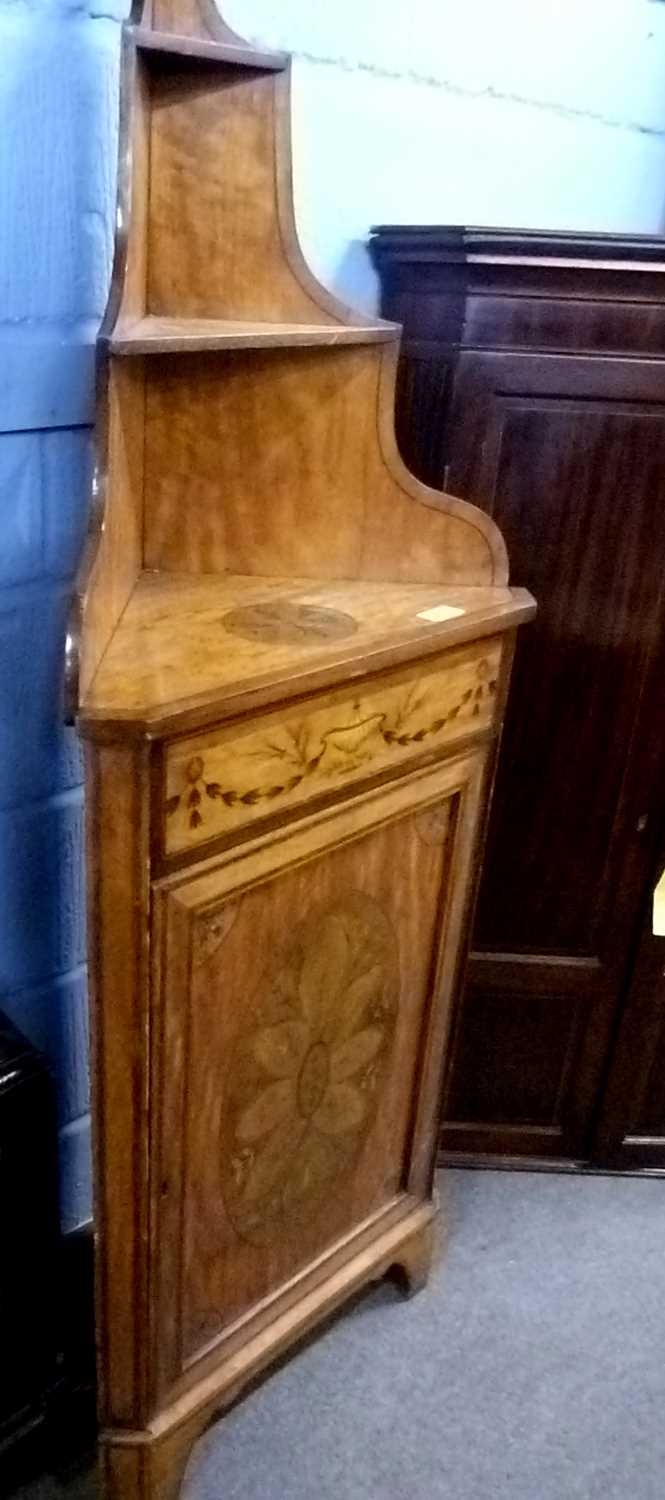 An unusual 19th Century satinwood corner cabinet with two shelves over a panelled door, decorated - Image 2 of 2
