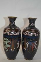 A pair of early 20th Century Cloisonne vases with typical designs, 23cm high