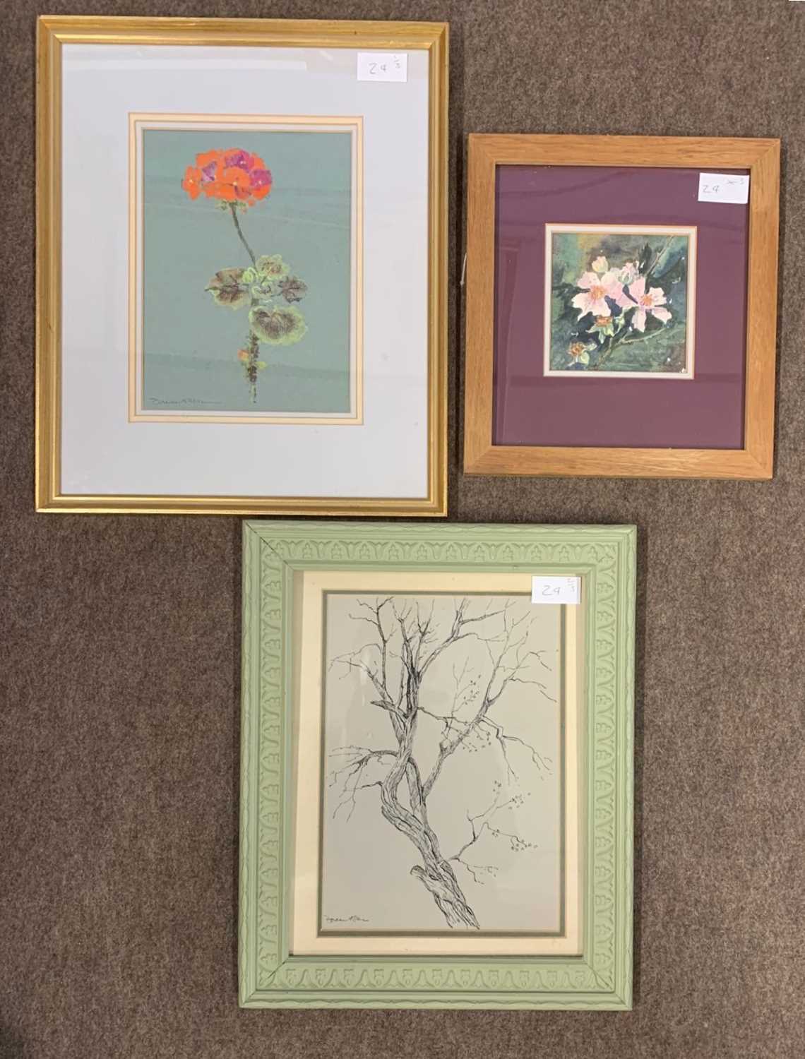 Doreen Allen - floral w/c, pen & ink tree & floral pastel, x3, framed and glazed