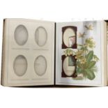 Group of Five Victorian Photograph Albums