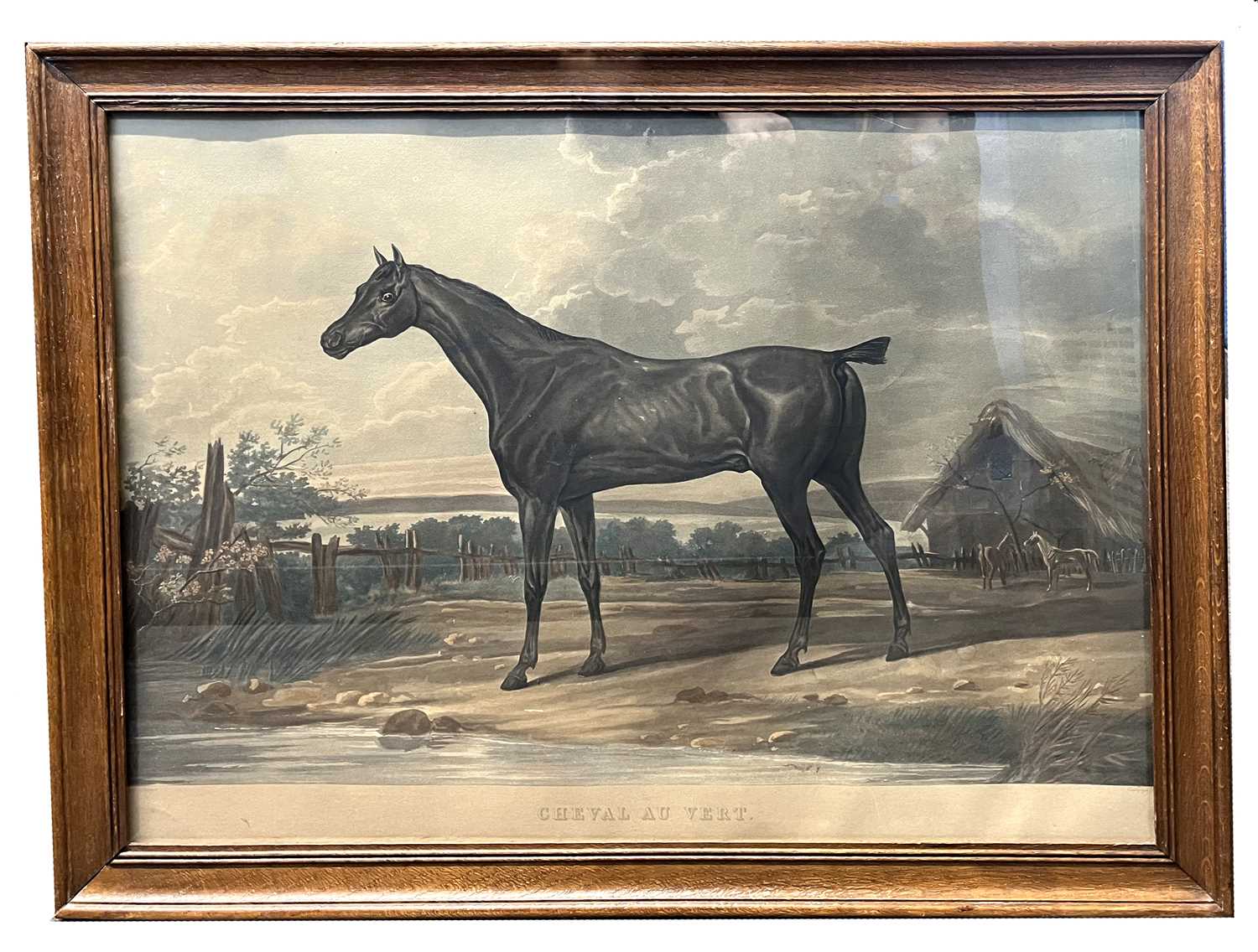 Carle Vernet, French 1758-1836 hand coloured lithograph of a racehorse "Cheval Au Vert" in period