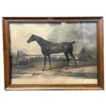 Carle Vernet, French 1758-1836 hand coloured lithograph of a racehorse "Cheval Au Vert" in period