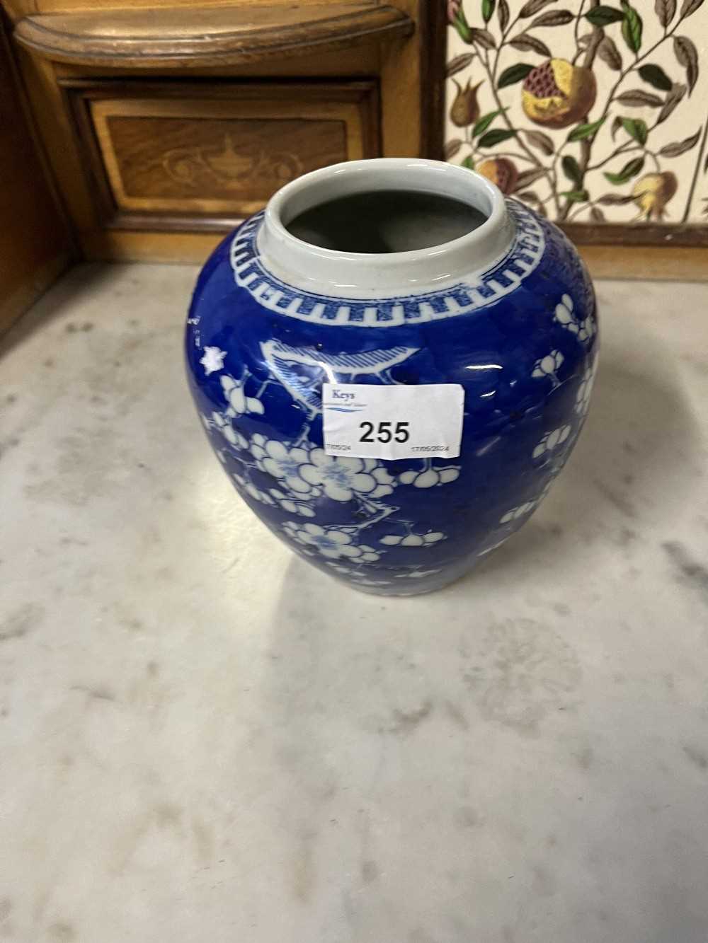 Chinese porcelain ginger jar 19th Century decorated with prunus on a blue ground - Image 9 of 14
