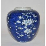 Chinese porcelain ginger jar 19th Century decorated with prunus on a blue ground