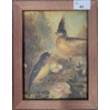 French School, circa 19th century, A pair of birds in a nest with eggs, oil on canvas backed on