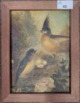 French School, circa 19th century, A pair of birds in a nest with eggs, oil on canvas backed on