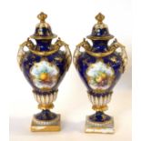 Royal Worcester Fruit Vases by Chivers