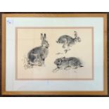 John Paley (British, 20th century), A study of a hare in three positions, charcoal on paper, signed,