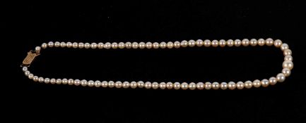 A cultured pearl necklace, the graduated cultured pearls between approx. 4.2 - 8.3mm, with clasp