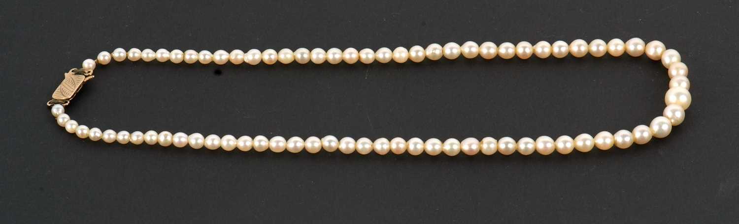 A cultured pearl necklace, the graduated cultured pearls between approx. 4.2 - 8.3mm, with clasp - Image 2 of 2