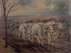 Gerna Karoly (Hungarian,1867-1944), Oxen ploughing, signed 'Gerna Caroly' lower right, oil on
