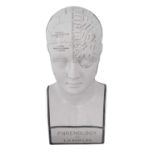A LN Fowler ceramic phrenology head, late 19th Century, typically delineated with title to front and