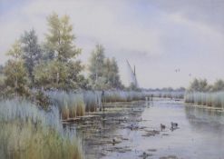 Colin Burns (British, b.1944), "Meadow Dyke, Hickling", watercolour, signed, 36x51cm, framed and