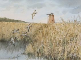 J.A. Hutchinson (British, 20th century), Norfolk mill and Ducks alighting over fen reeds,