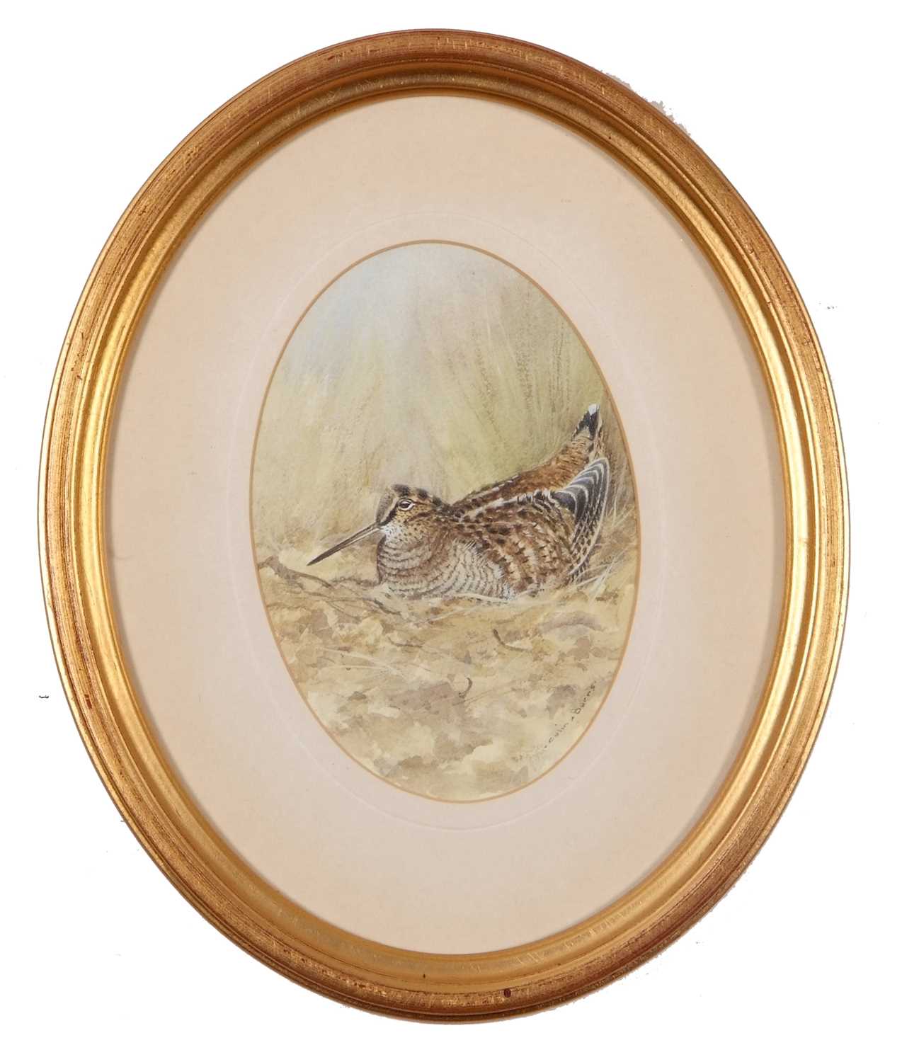 Colin Burns (British, b.1944), "Woodcock", watercolour in oval, signed,11x15cm, framed and glazed. - Image 2 of 3