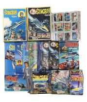 A collection of vintage Stingray memorabilia, to include annuals, jigsaw puzzles, action figures