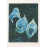 Annie Hole (Continental school, late 20th century), 'Lily's Blue Lillies', etching with aquatint,