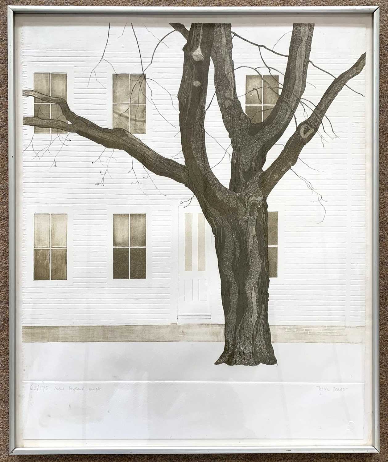 Tessa Beaver (British,b.1932), 'New England Maple', limited edition engraving with aquatint on