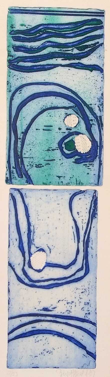Birgit Skiold (Swedish,1923-1982), 'Reflecting Water', etching, signed and dated '67 in pencil, - Image 2 of 2