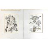 Marc Chagall (Russian / French,1887-1985), two lithographs, certificate of authenticity on verso,