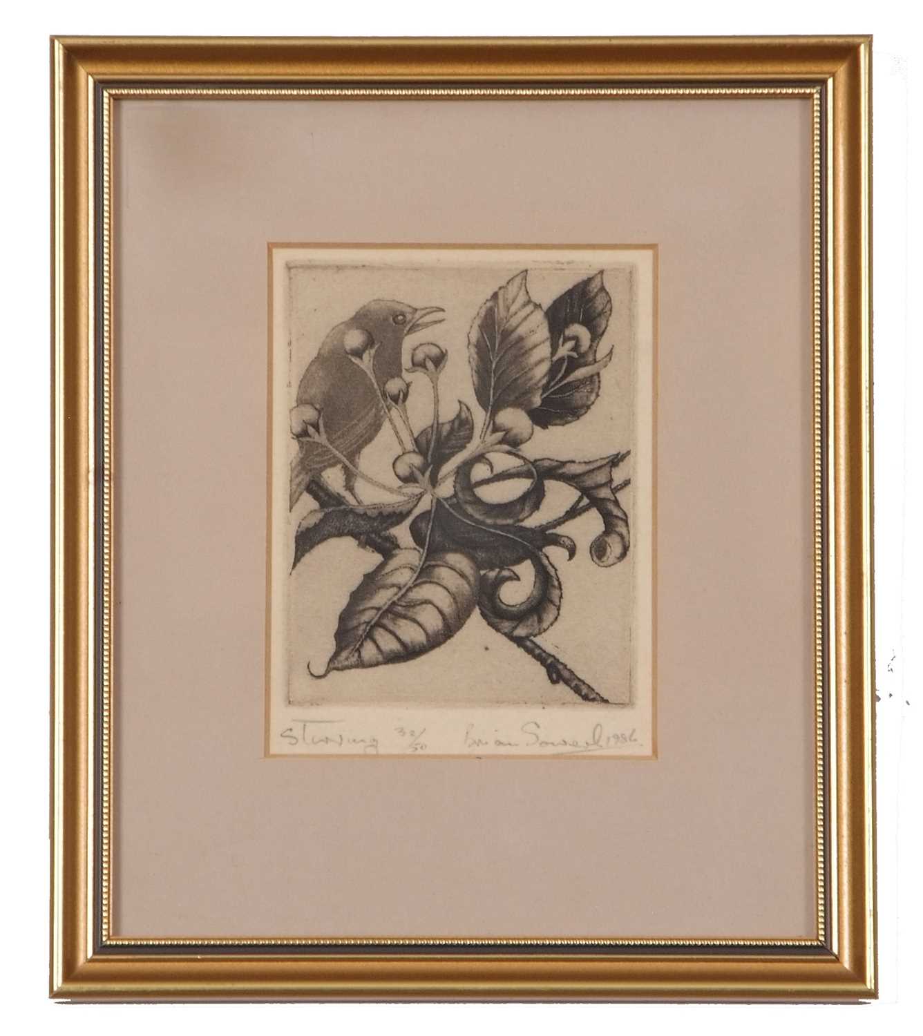 Brian Sowerby (British, 20th century), Three etchings: "abundance", "Enjoyment" (A/P), dated - Image 2 of 4