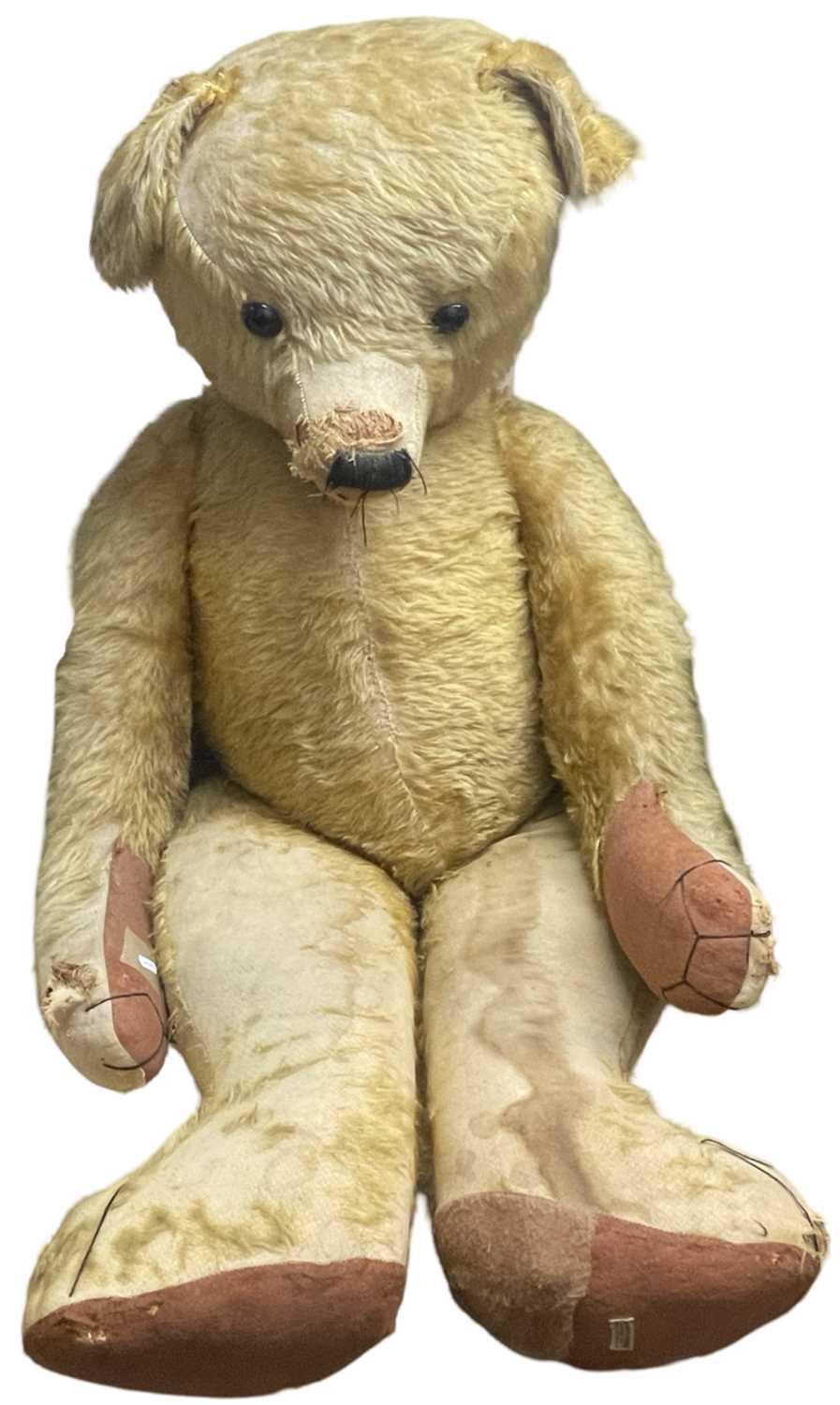 An extremely large straw-filled Merrythought Teddy Bear, most likely used for shop display. With