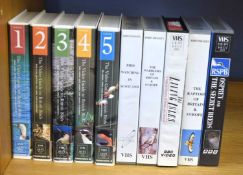 Quantity of RSPB and various Bird VHS tapes to include vols 1-5 video guide to British birds (10)